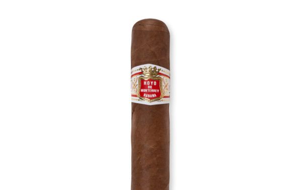 Hoyo-de-Monterrey-Petit-Robusto.jpg