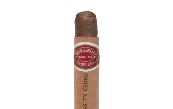 Romeo y Julieta Coronitas en Cedro